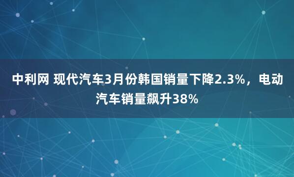 中利网 现代汽车3月份韩国销量下降2.3%，电动汽车销量飙升38%