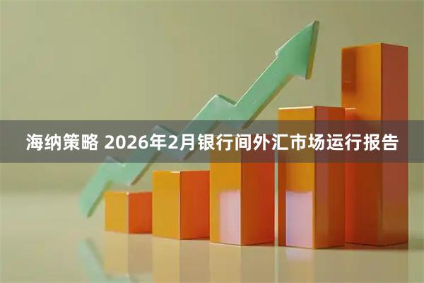 海纳策略 2026年2月银行间外汇市场运行报告